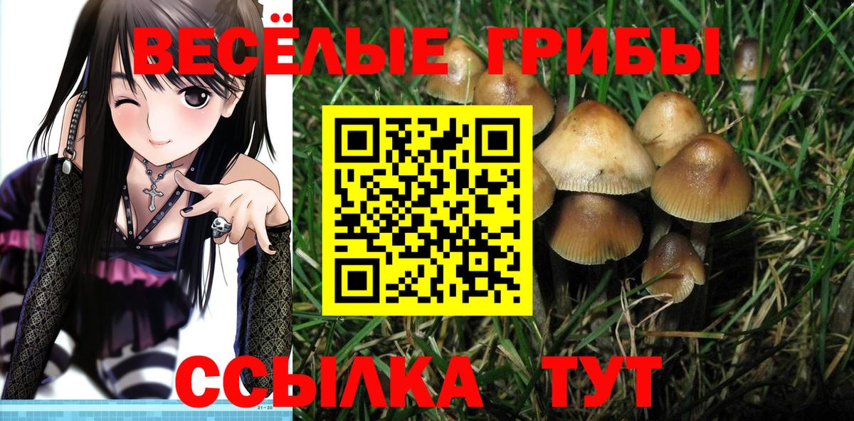 Галлюциногенные грибы Magic Shrooms Новотроицк