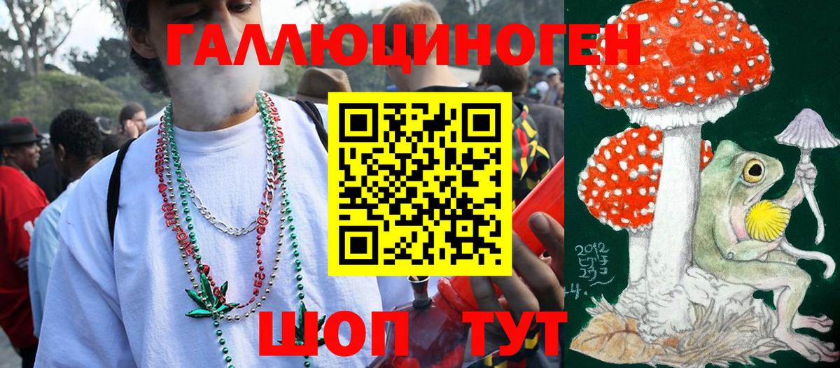Новотроицк  Псилоцибиновые грибы MAGIC MUSHROOMS  Вход с VPN 